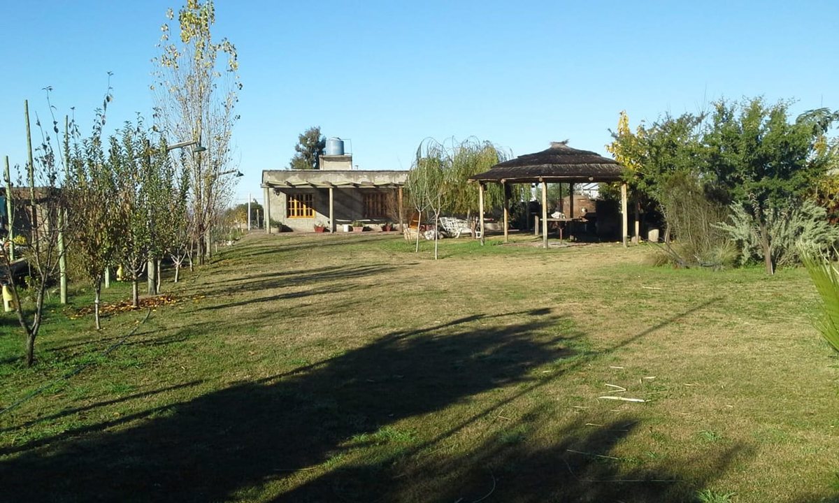 Imagen 7