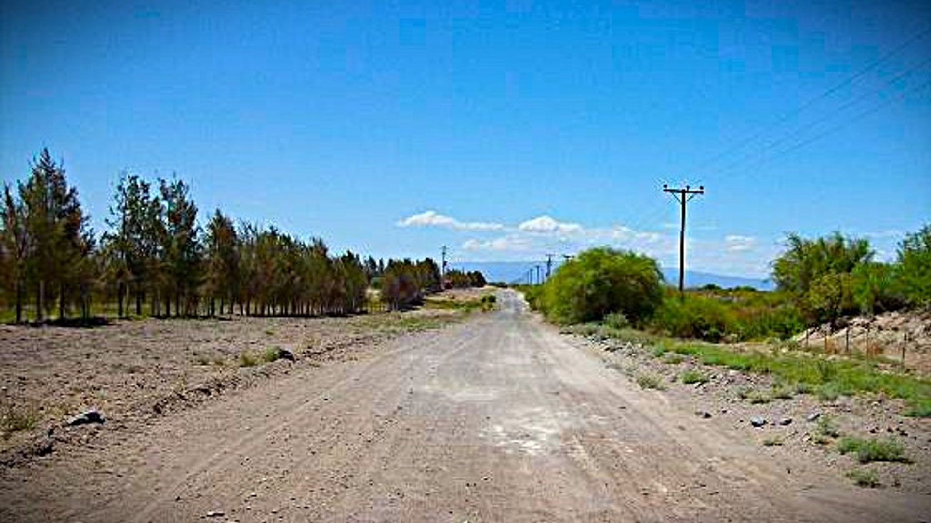 Campo en Ruta Provincial 308 y Fc Belgrano S/N
