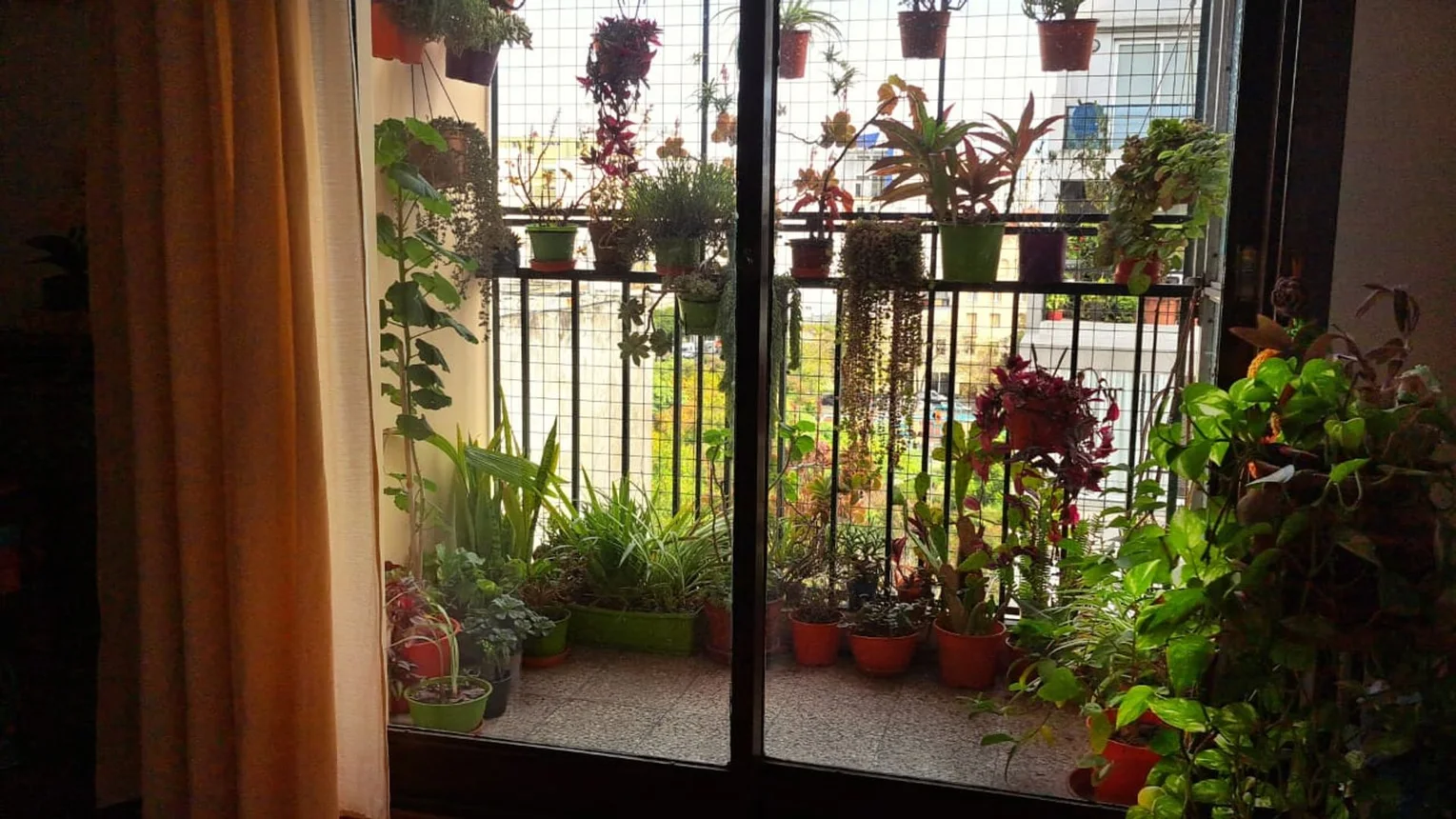 Departamento en alquiler en Balvanera, Misiones 300, foto 5