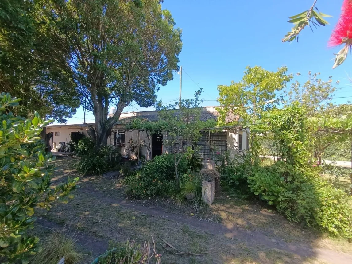Casa de 6 ambientes en venta en Mar del Plata, Eduardo Bradley 400