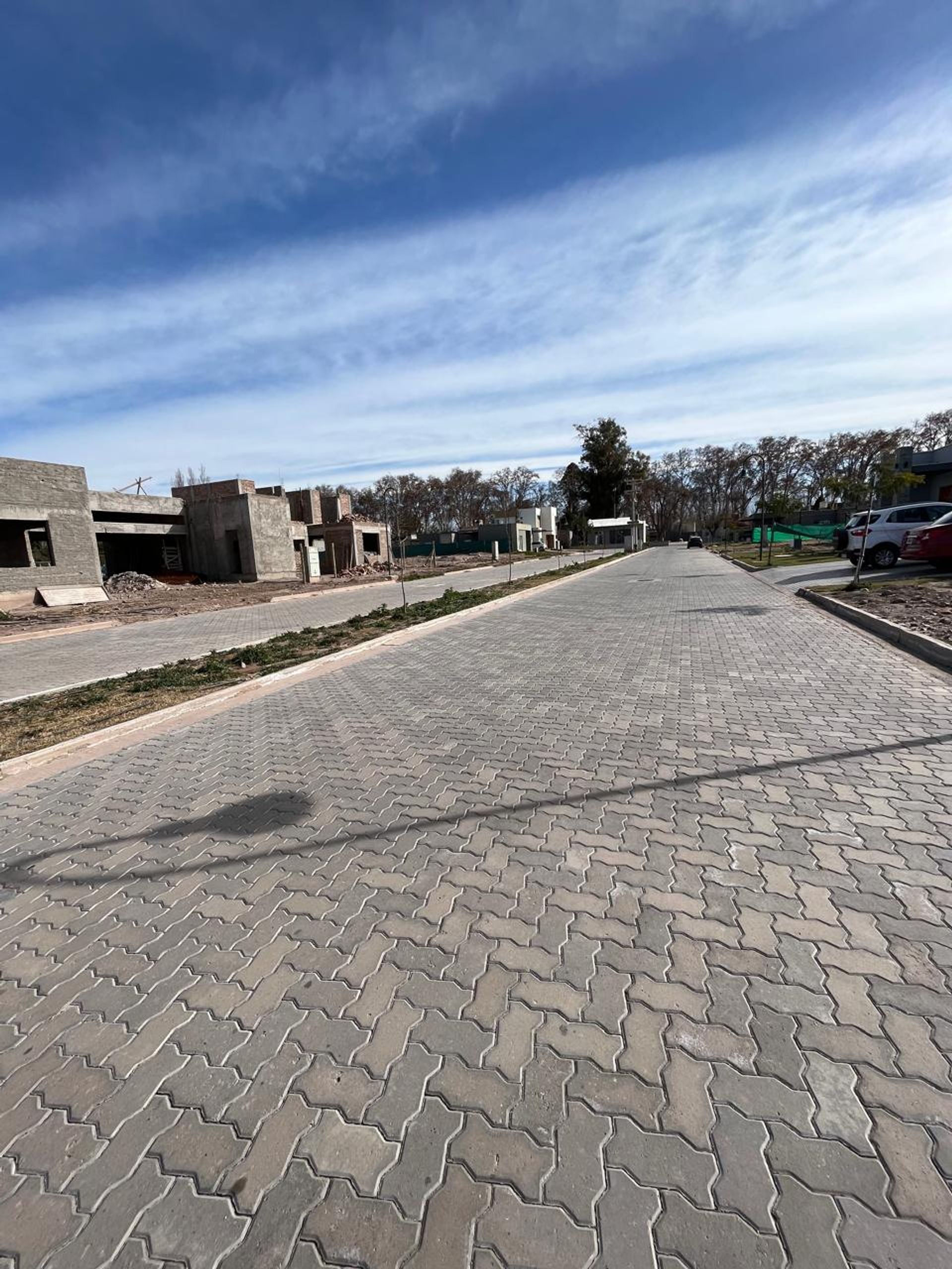 Imagen 6