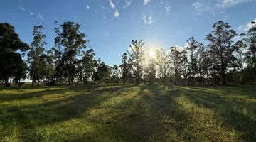 LOTE EN VENTA EN COLONIA CAROLINA