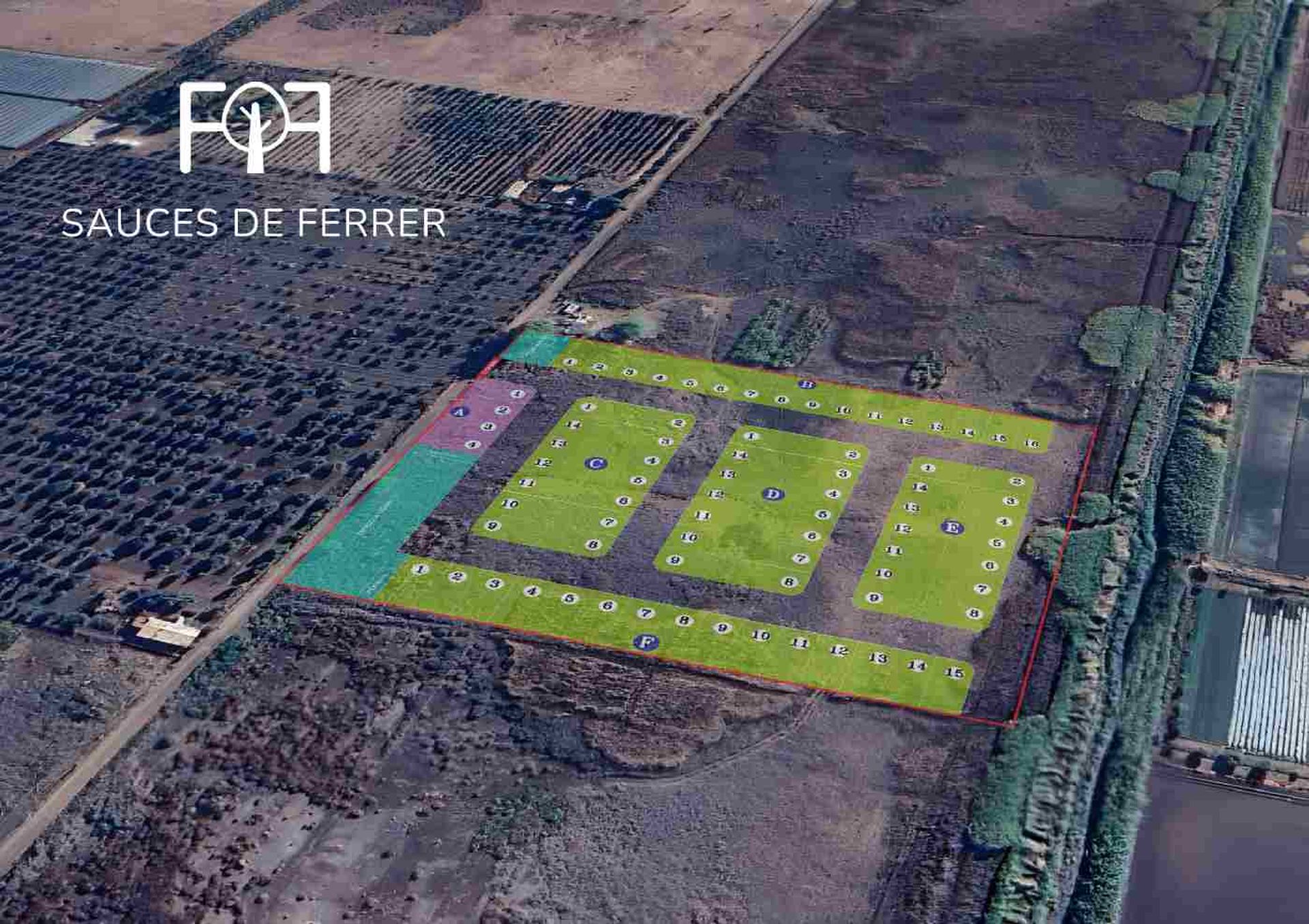 Imagen 4