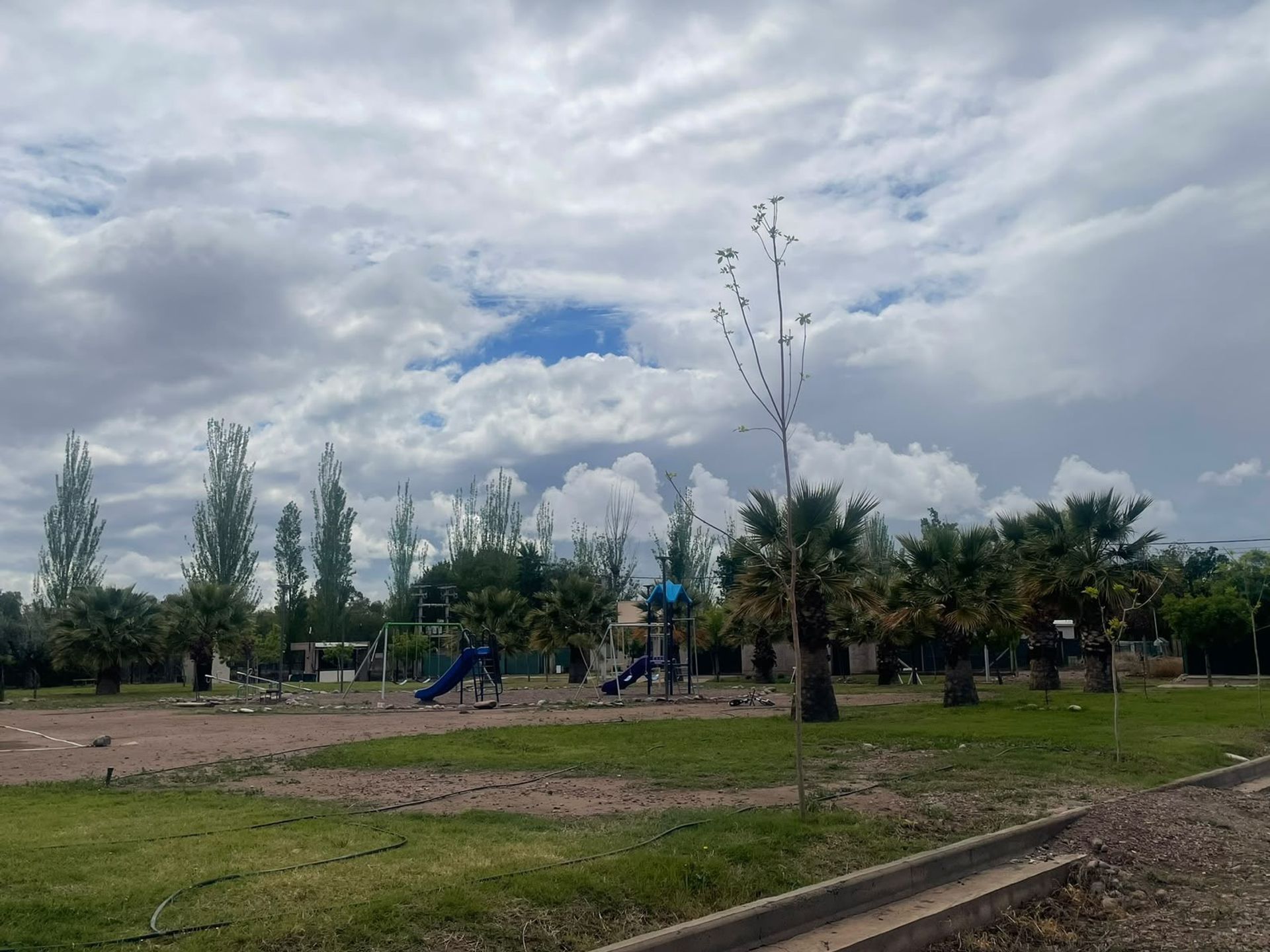 Imagen 8