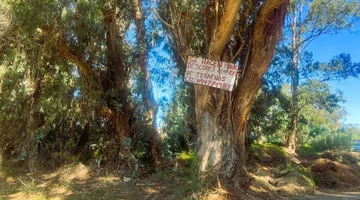 TERRENO ESQUINERO A METROS DEL MAR EN OCEAN PARK