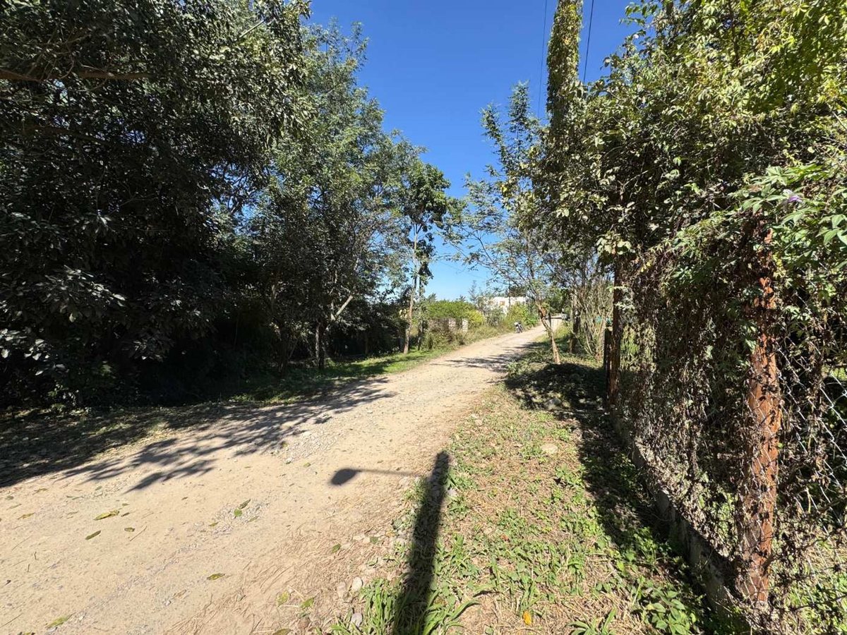 TERRENO EN VENTA EN LOS AROMOS VAQUEROS 1067M2 - foto 8