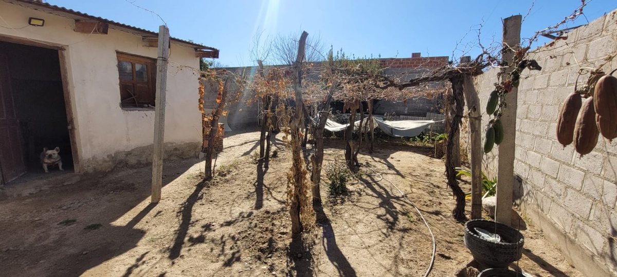 CASA VENTA O PERMUTA EN CAFAYATE 3 DORMITORIOS - foto 12