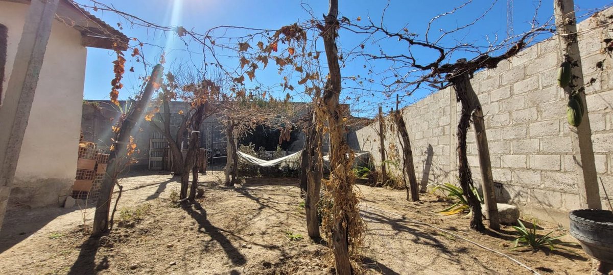 CASA VENTA O PERMUTA EN CAFAYATE 3 DORMITORIOS - foto 13