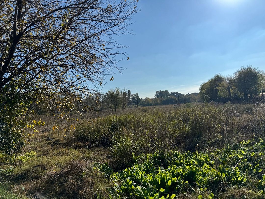 VENTA CAMPO 8,5 HECTAREAS, RUTA 25 PILAR