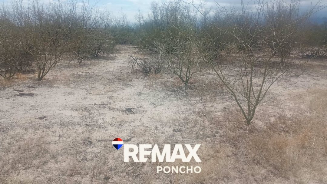 VENTA CAMPO NATURAL DEPTO POMAN RUTA 25