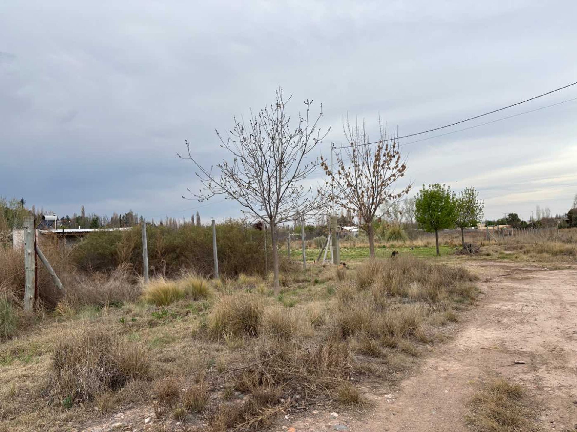 Imagen 9