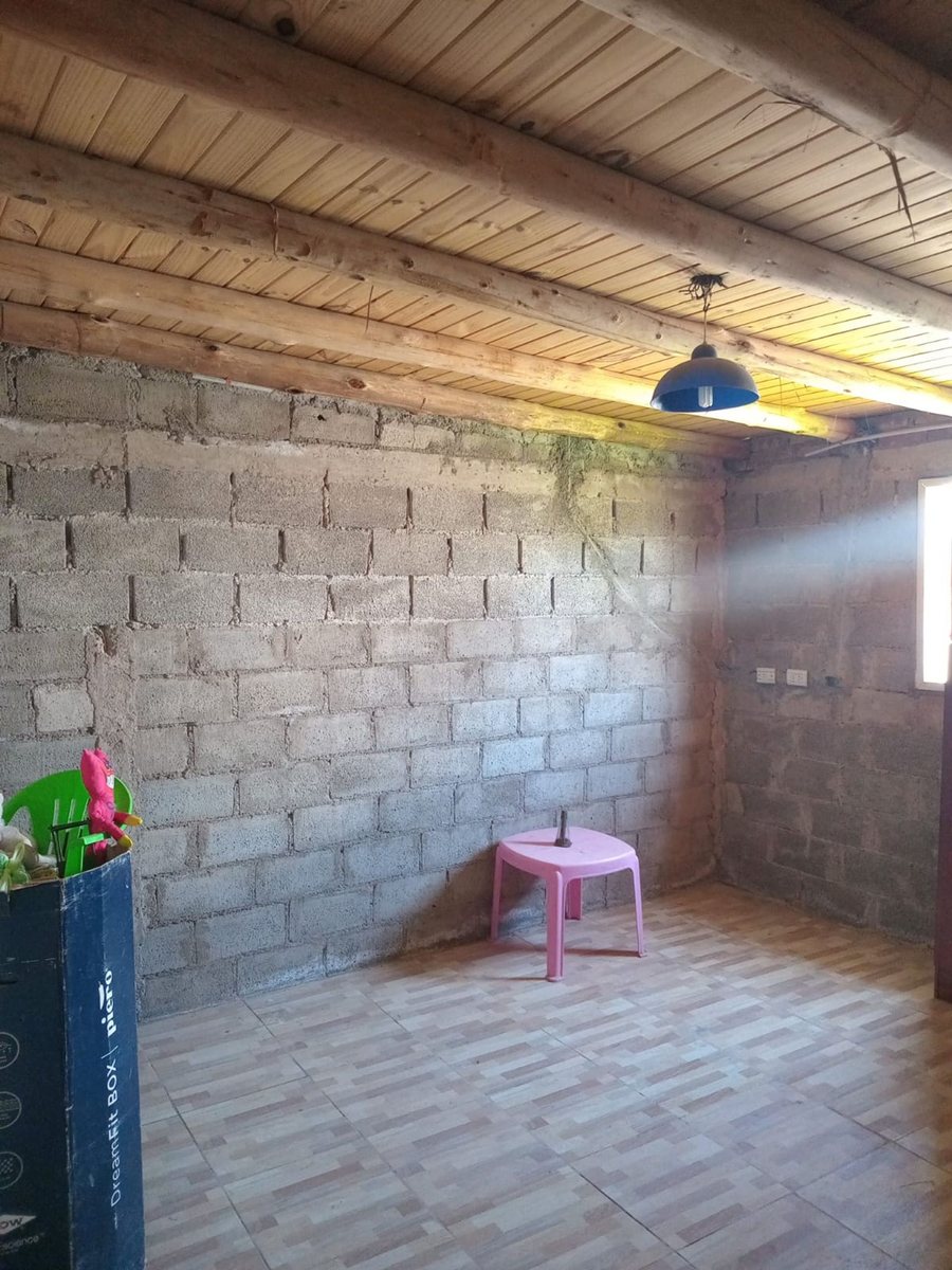 Imagen 10