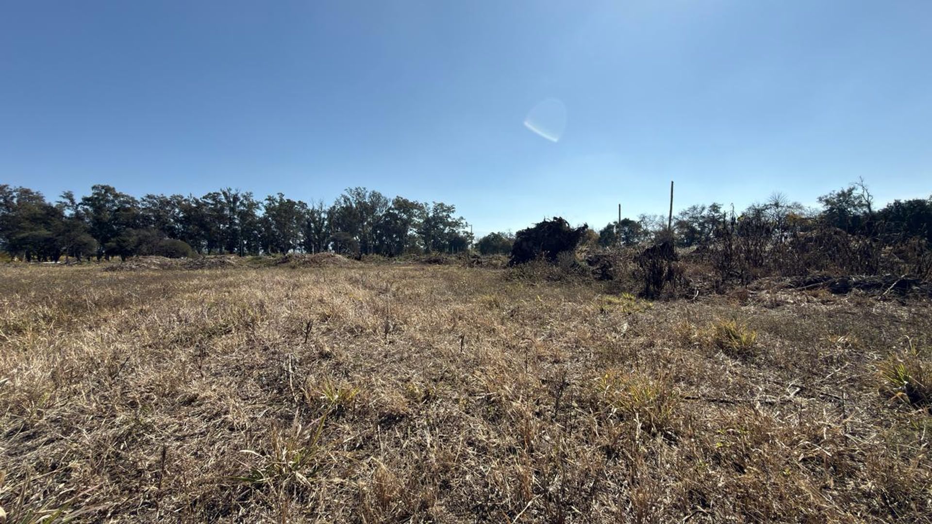 TERRENO VENTA LOS OLMOS 360 CERRILLOS 323 M2 - foto 6