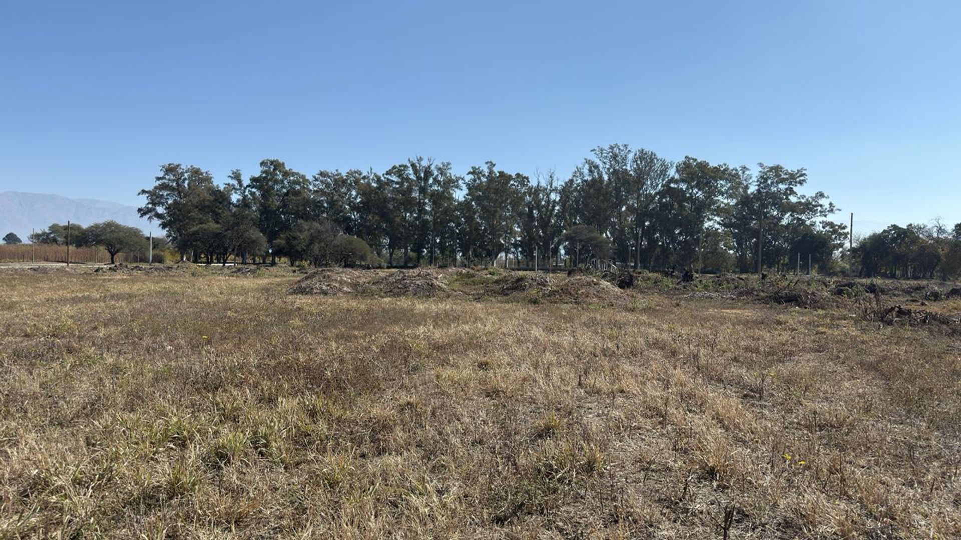 TERRENO VENTA LOS OLMOS 360 CERRILLOS 323 M2 - foto 10
