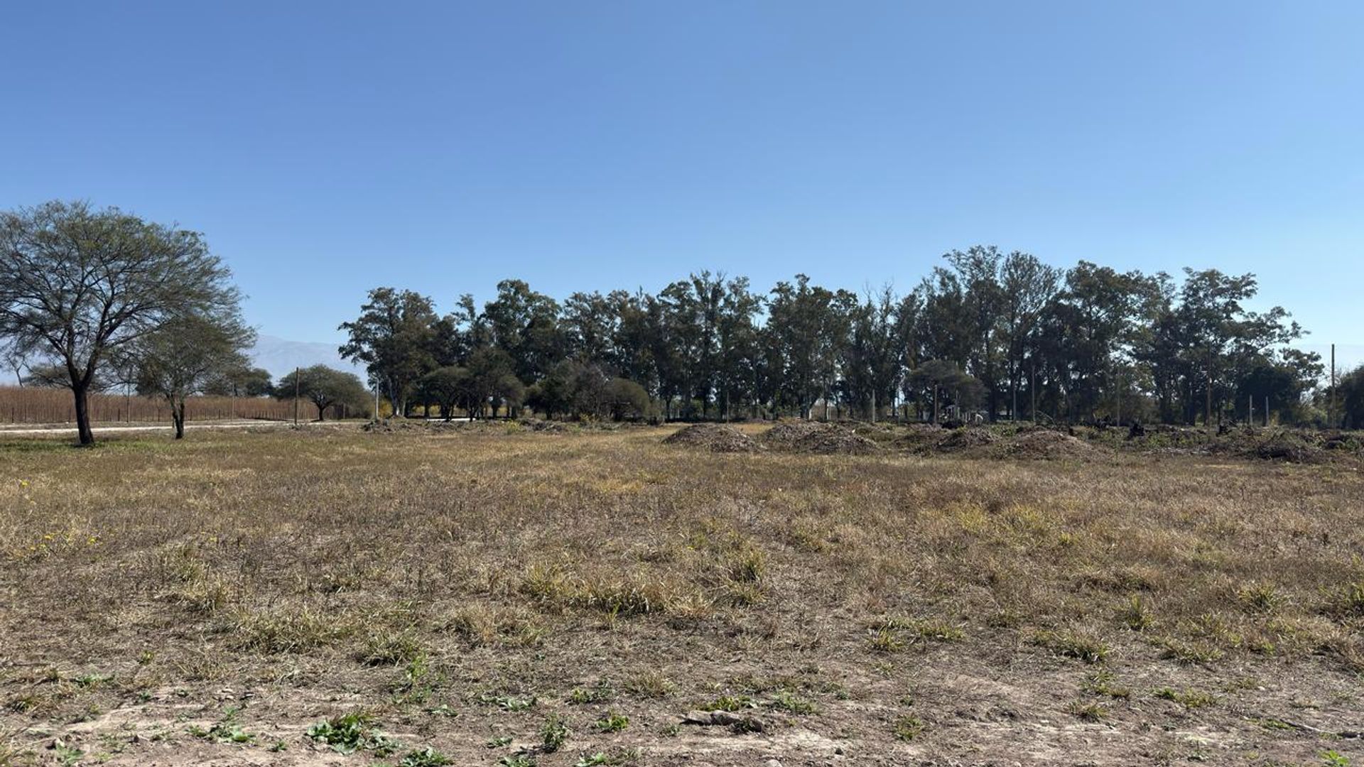 TERRENO VENTA LOS OLMOS 360 CERRILLOS 323 M2 - foto 11