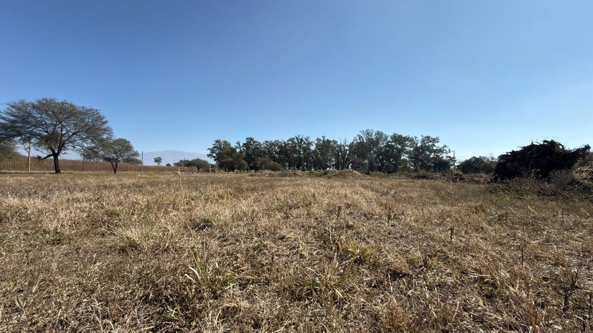 TERRENO VENTA LOS OLMOS 360 CERRILLOS 323 M2 - foto 12