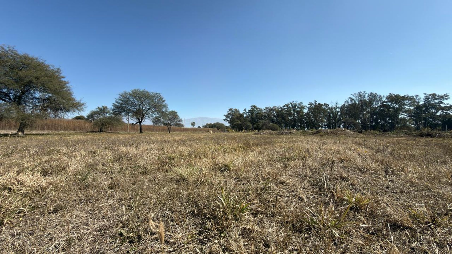 TERRENO VENTA LOS OLMOS 360 CERRILLOS 323 M2 - foto 7