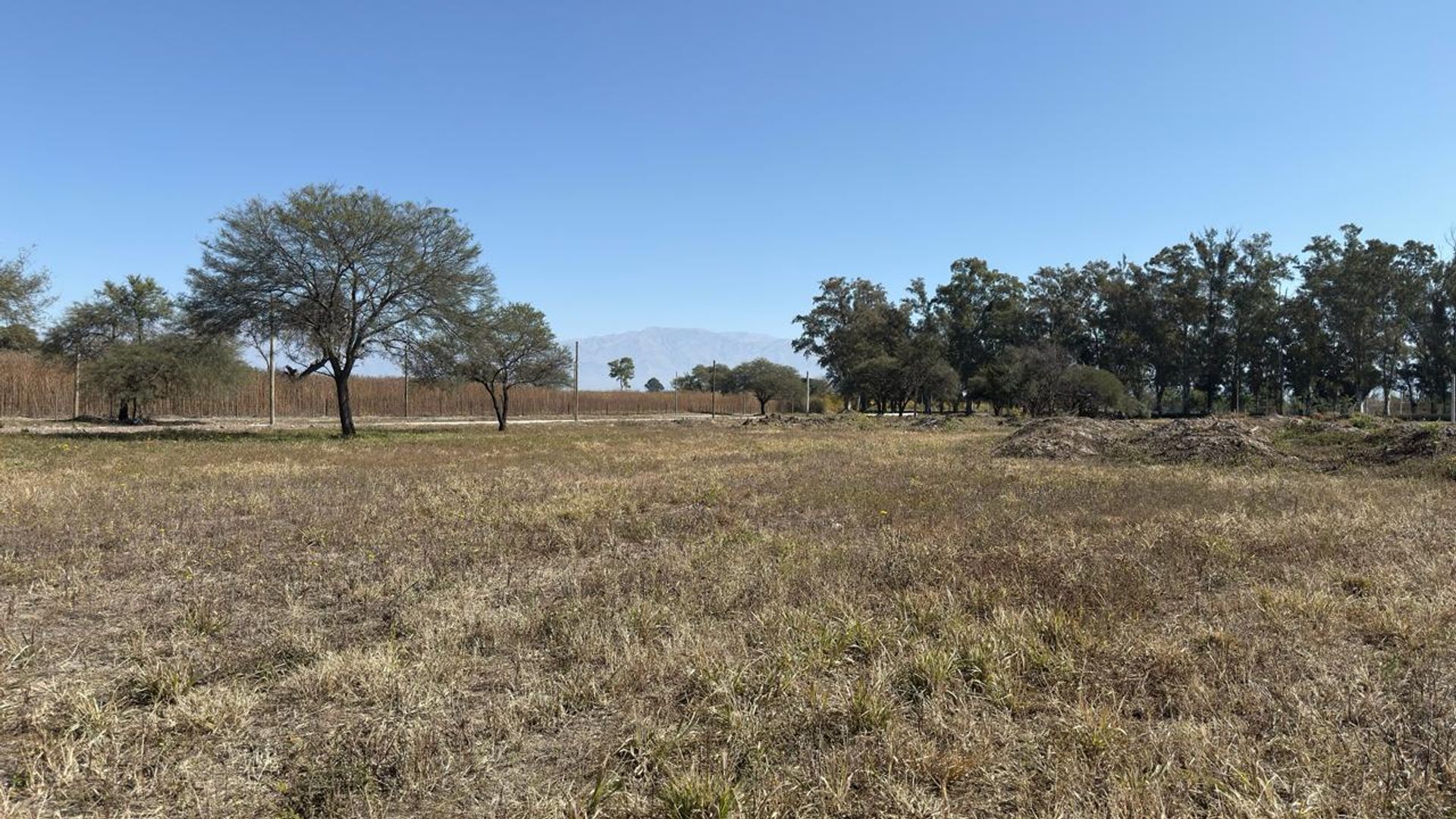 TERRENO VENTA LOS OLMOS 360 CERRILLOS 323 M2 - foto 9