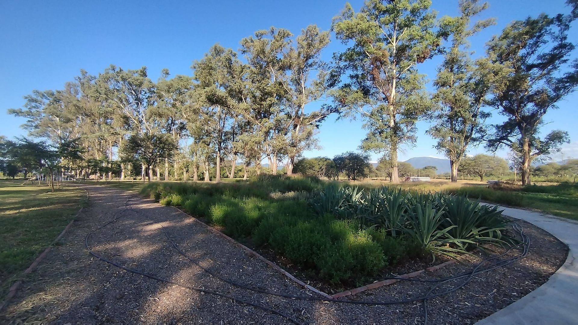 TERRENO VENTA LOS OLMOS 360 CERRILLOS 323 M2 - foto 2