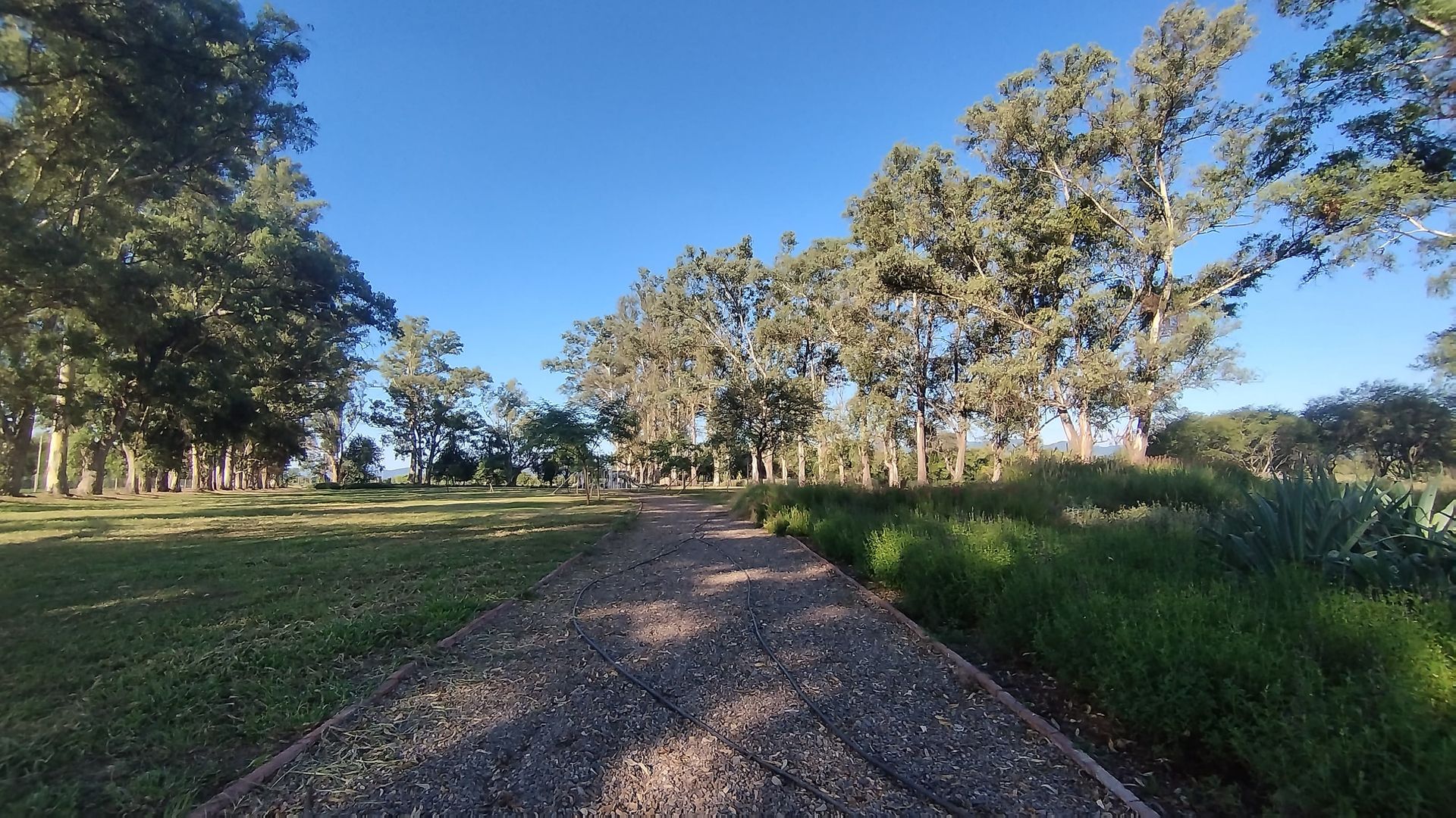 TERRENO VENTA LOS OLMOS 360 CERRILLOS 323 M2 - foto 14