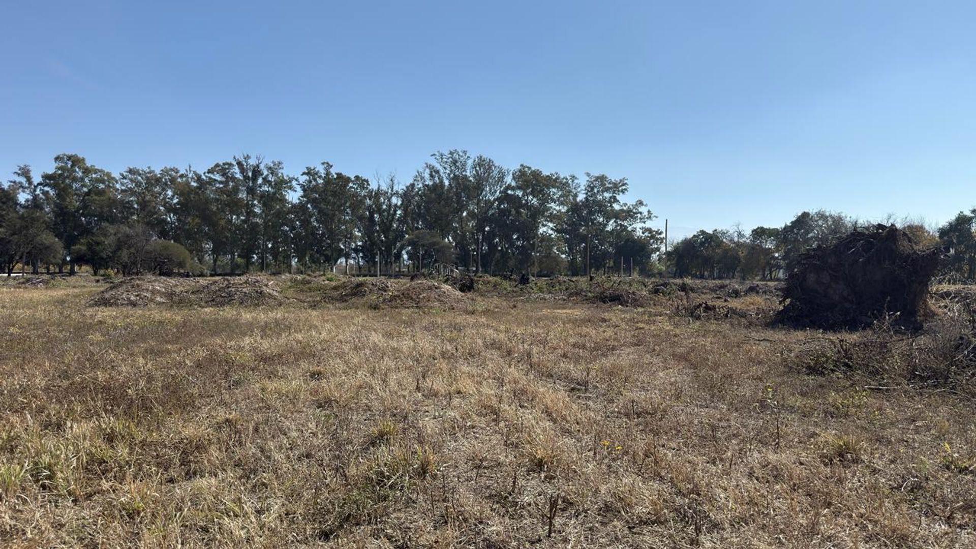TERRENO VENTA LOS OLMOS 360 CERRILLOS 323 M2 - foto 8