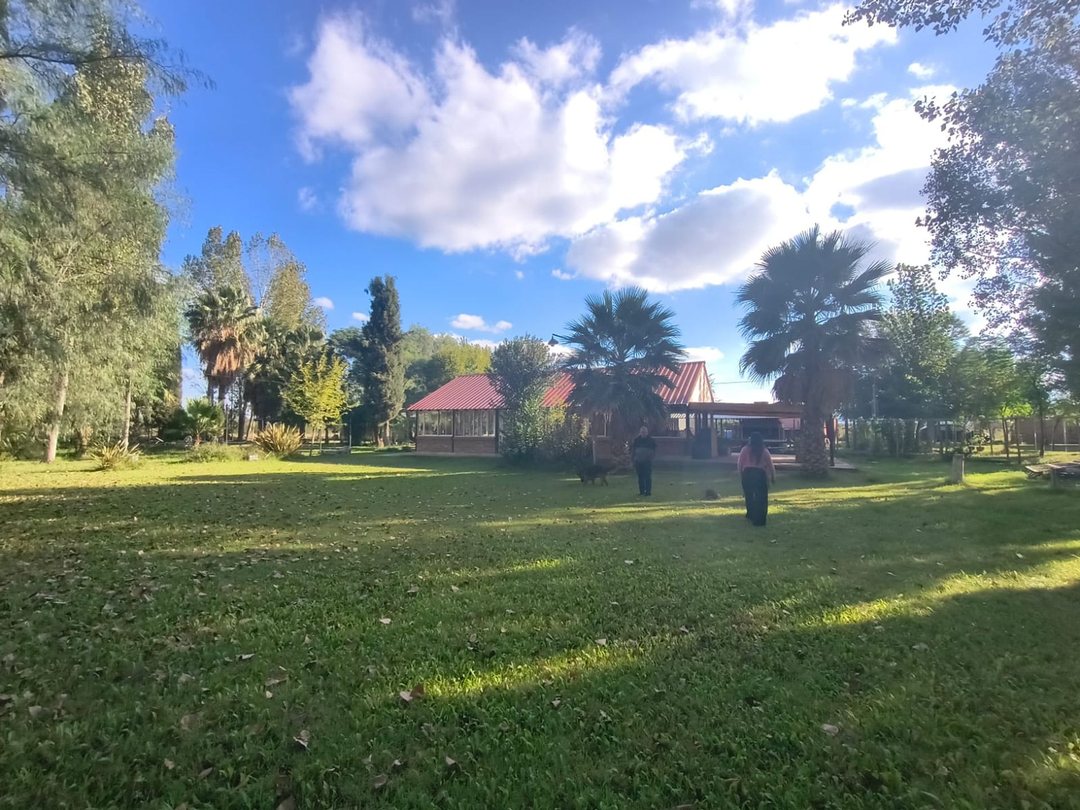 FINCA MAS SALON  EN VENTA – EL ALGARROBAL