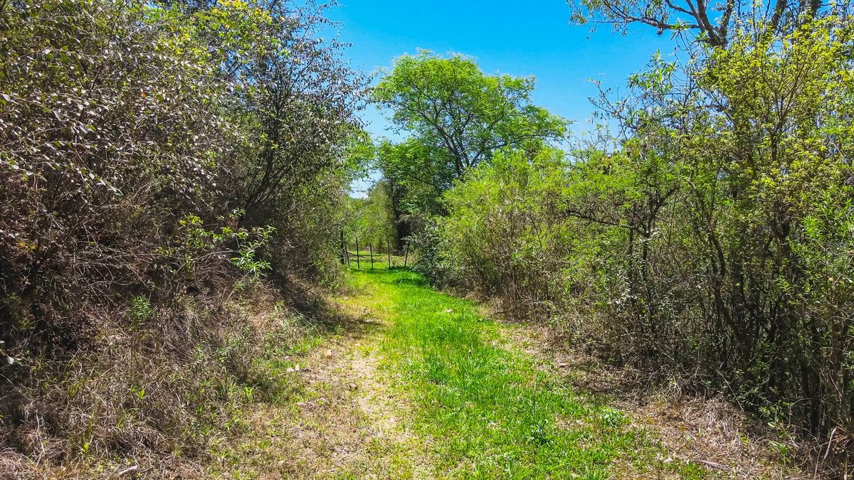 TERRENO VENTA 1 HECTAREA CASTELLANOS SAN LORENZO - foto 5