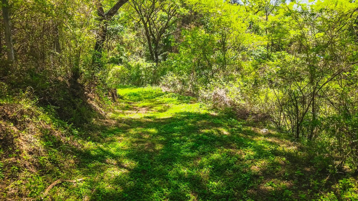 TERRENO VENTA 1 HECTAREA CASTELLANOS SAN LORENZO - foto 4
