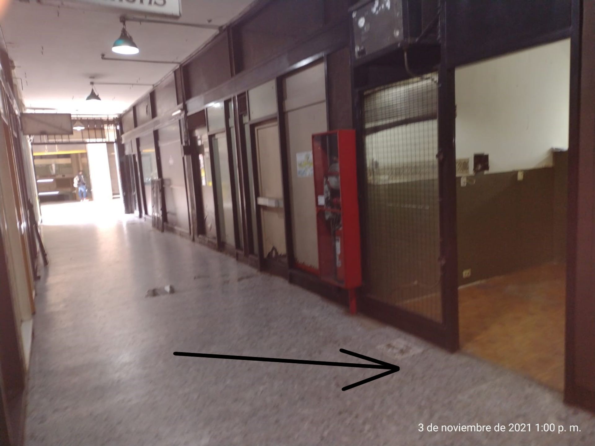 Imagen 3