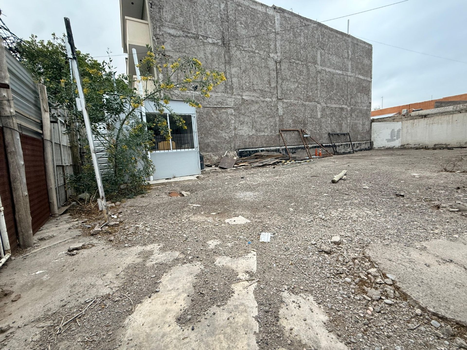 Imagen 5