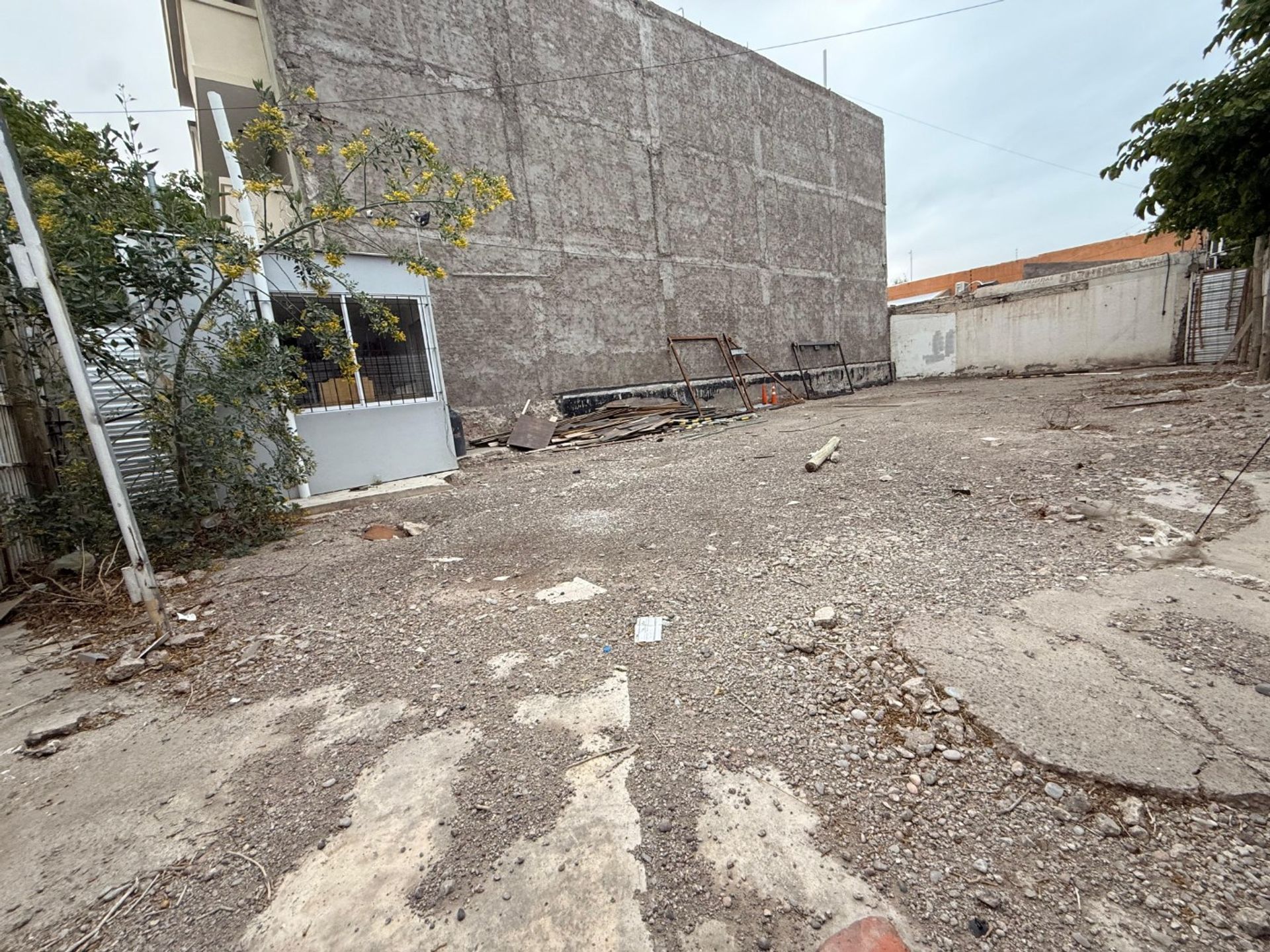 Imagen 7
