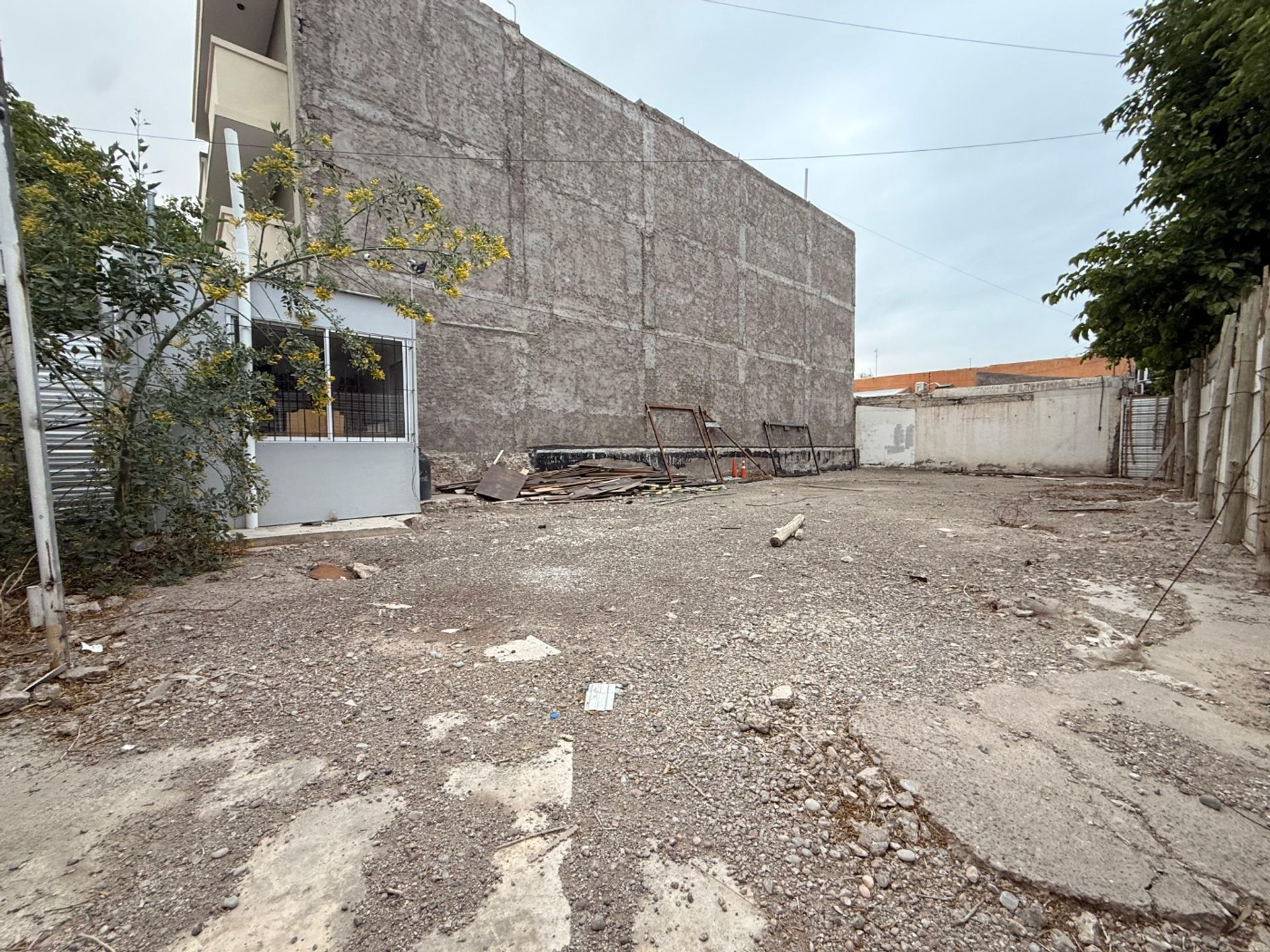 Imagen 6