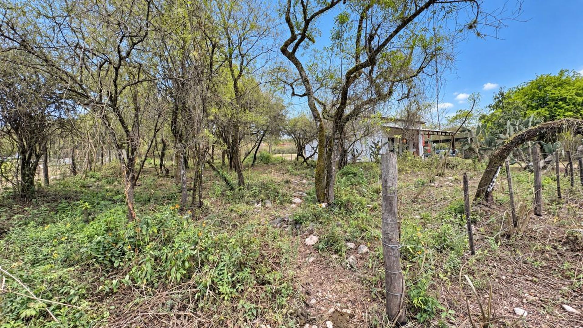 VENTA TERRENO EN VAQUEROS 1000 M2 - foto 3