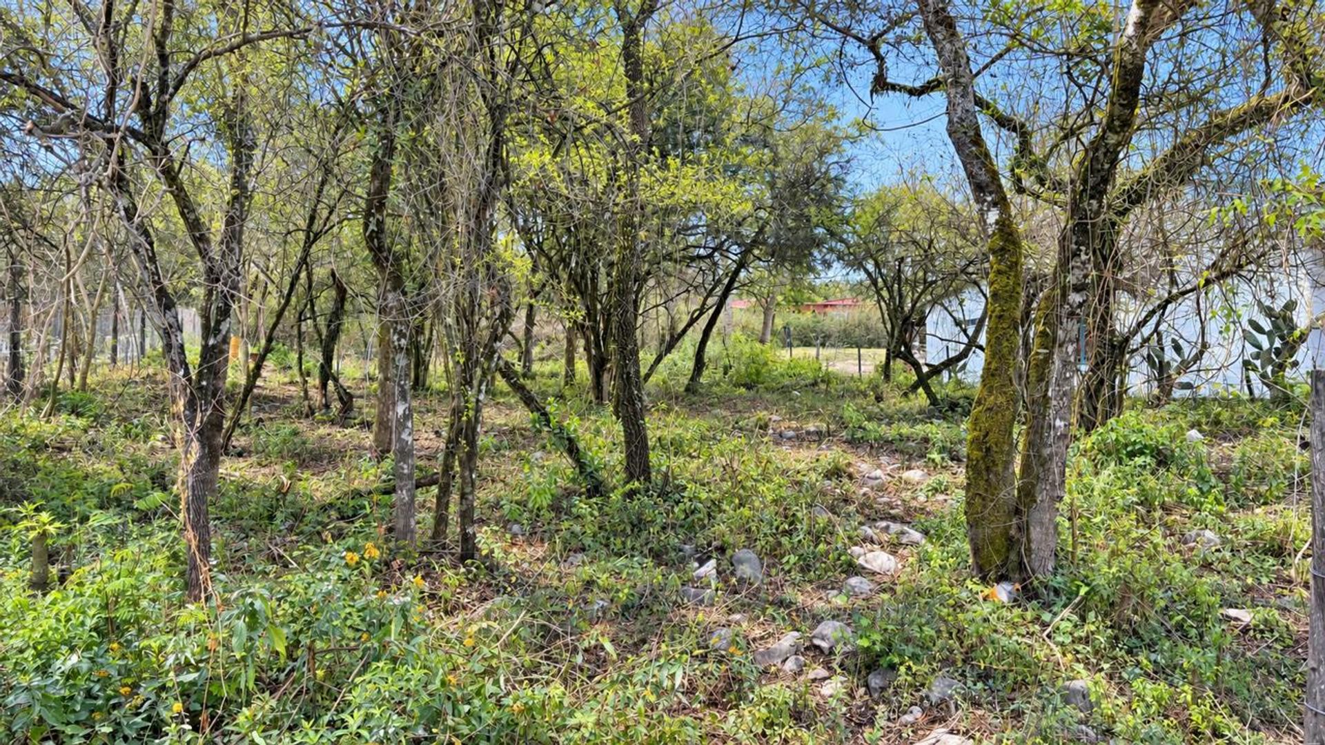 VENTA TERRENO EN VAQUEROS 1000 M2 - foto 5