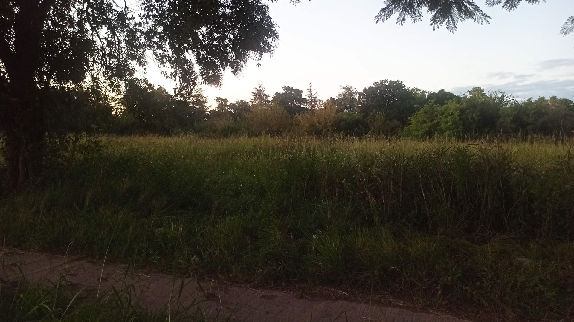 Se Vende Lote en Santo Tome