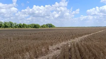 Campo en venta · Cabal