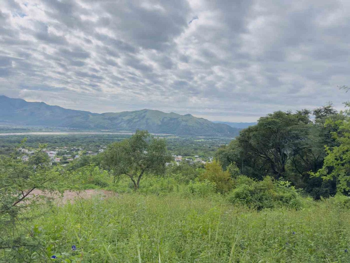 TERRENO EN VENTA EN VERTIENTES VAQUEROS 2831 M2 - foto 7