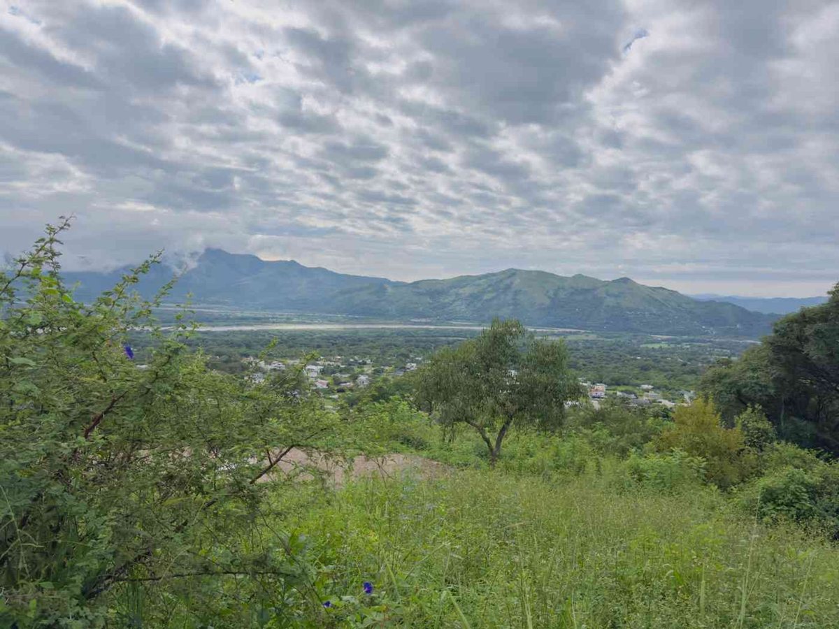 TERRENO EN VENTA EN VERTIENTES VAQUEROS 2831 M2 - foto 6