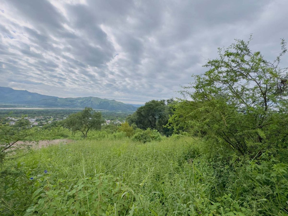TERRENO EN VENTA EN VERTIENTES VAQUEROS 2831 M2 - foto 8