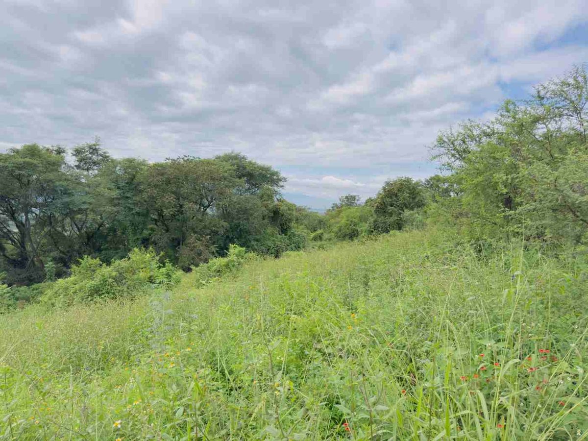 TERRENO EN VENTA EN VERTIENTES VAQUEROS 2831 M2 - foto 4