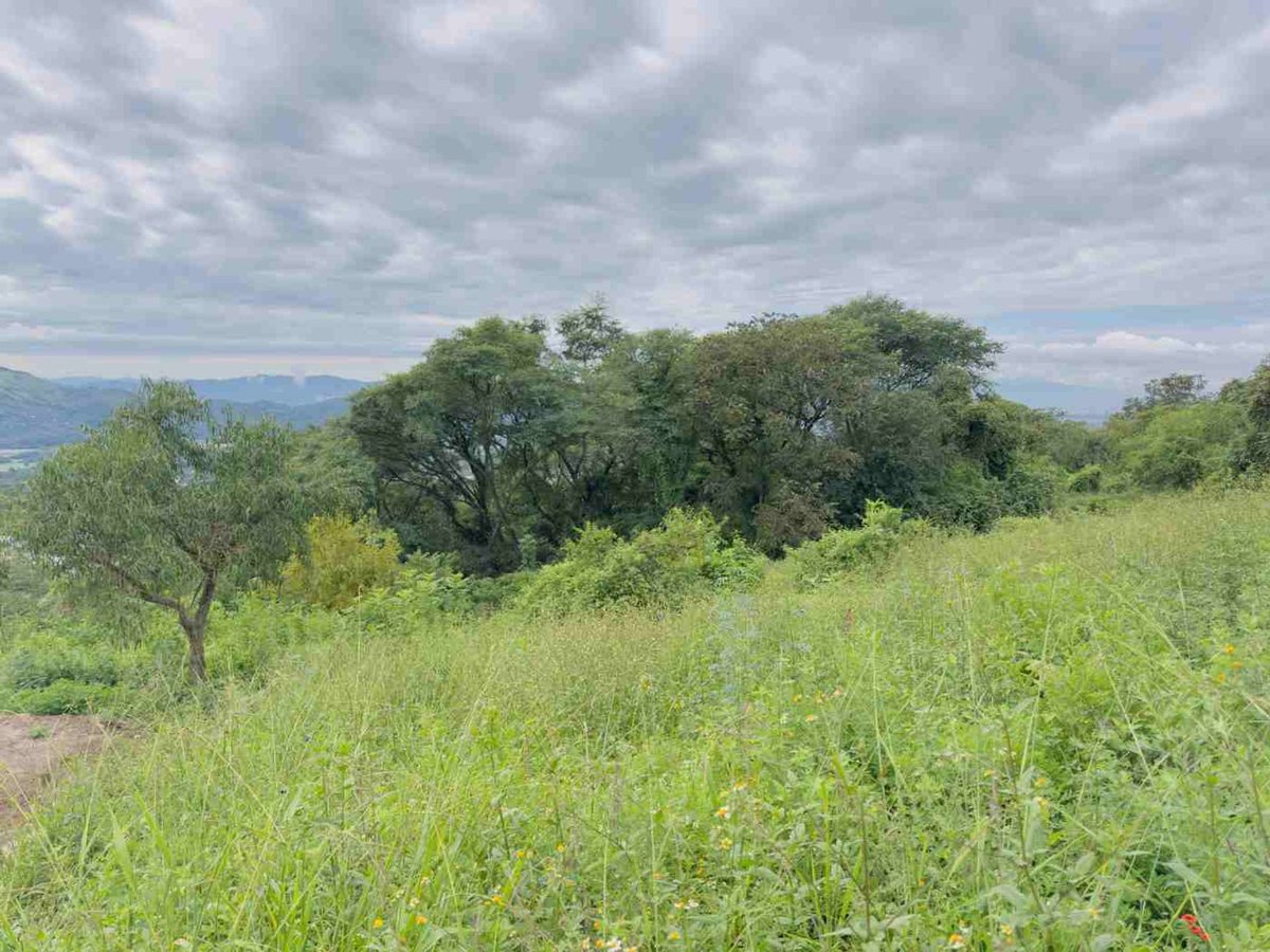 TERRENO EN VENTA EN VERTIENTES VAQUEROS 2831 M2 - foto 5