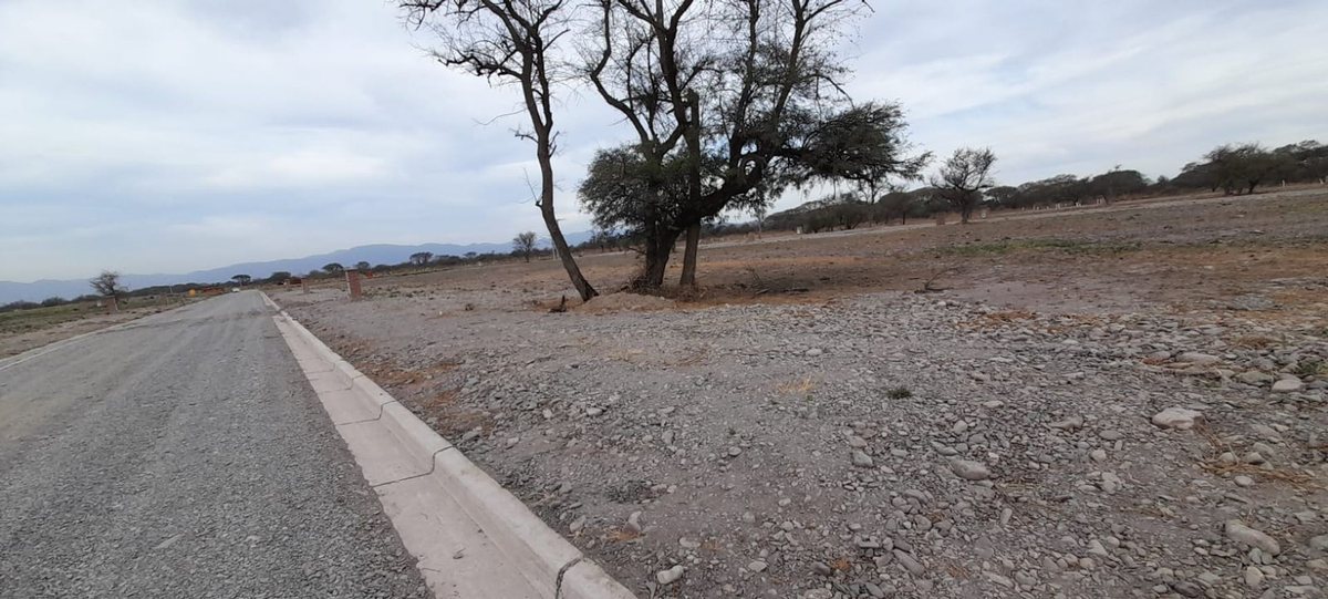 TERRENO VENTA EN EKO DISTRITO CERRILLOS - foto 7