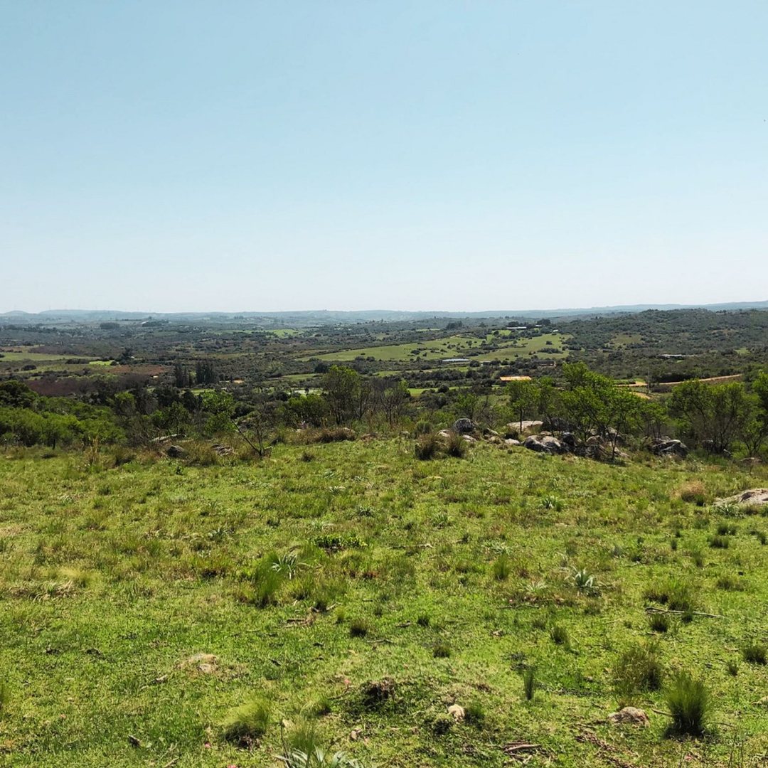 Chacra en venta en San Carlos, 6 hás con mejoras