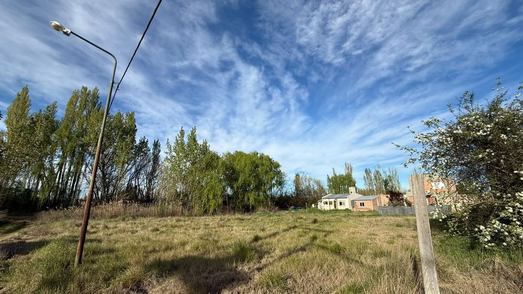 TERRENO EN VENTA - BARRIO DIOMEDI - ALLEN