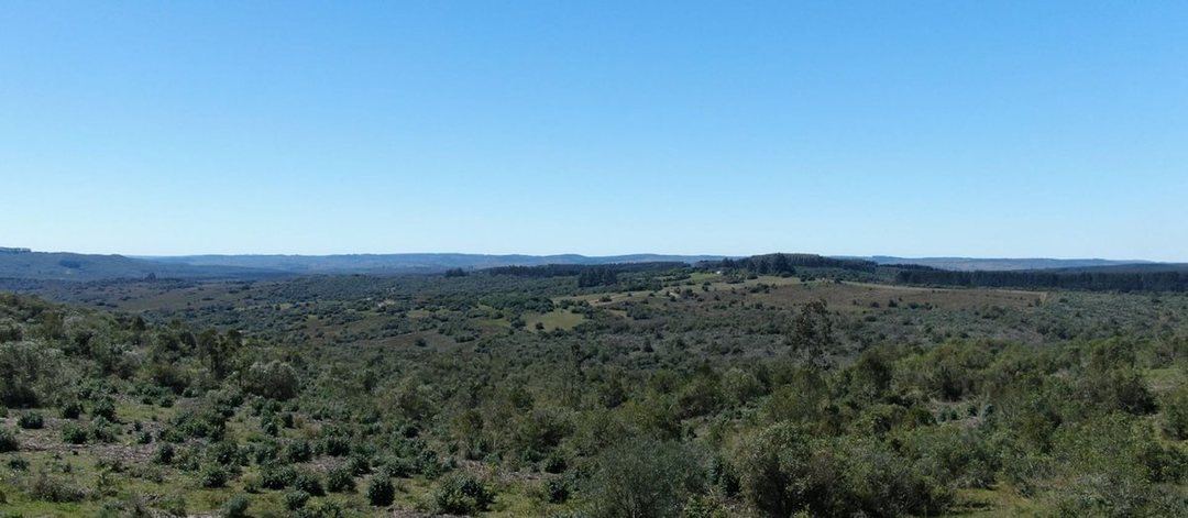 CAMPO EN VENTA AIGUA FORESTAL