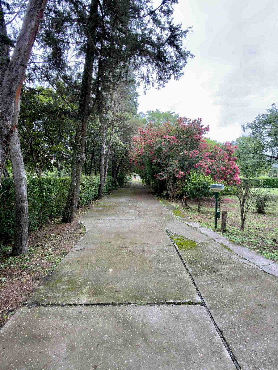 CASA EN VENTA CON TERRENO 1 HECTAREA RUTA 68 - foto 3