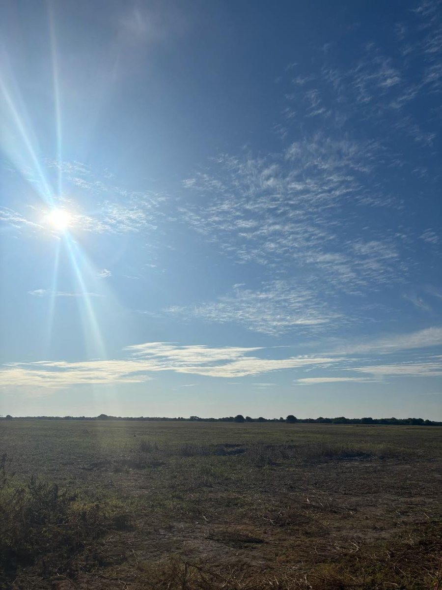 Campo agrícola/mixto en venta en campo andino