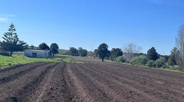 Venta de Chacra de 11 hectáreas Montevideo rural