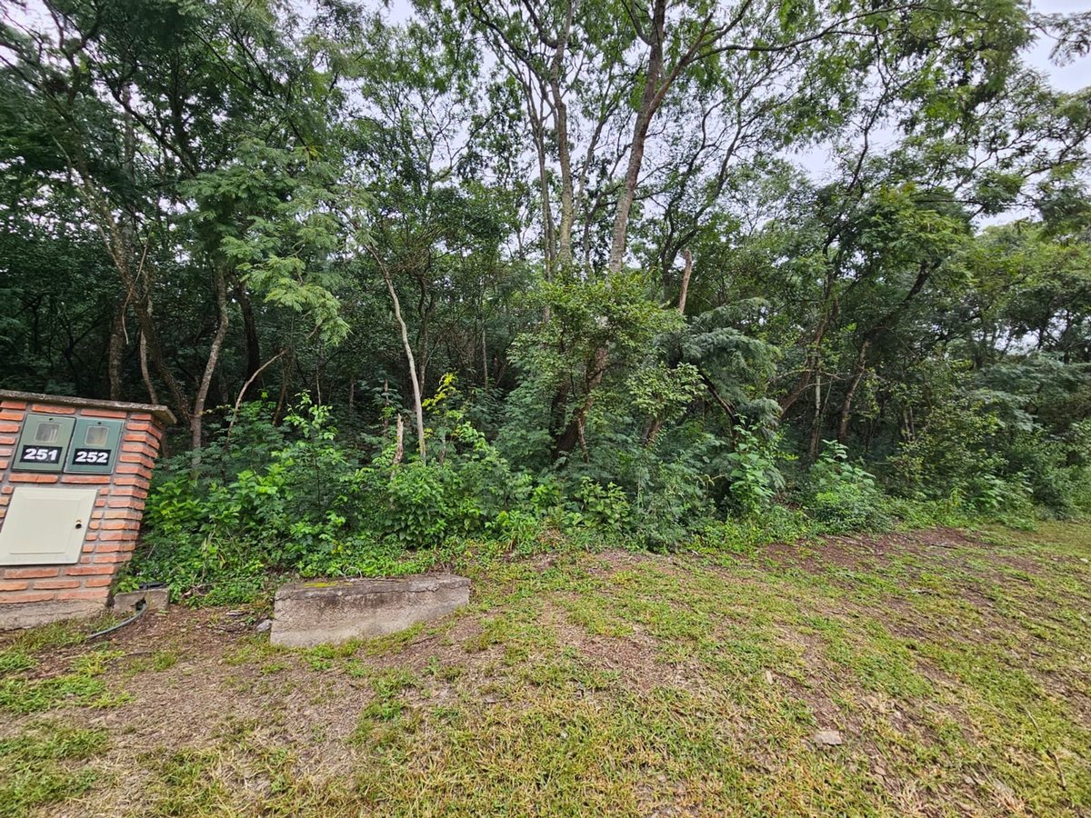 TERRENO VENTA VALLE ESCONDIDO 4992,6 M2 SALTA - foto 6