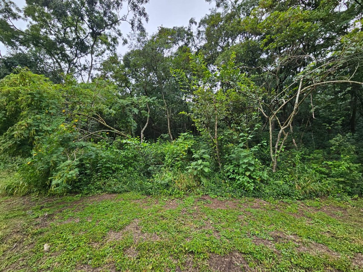 TERRENO VENTA VALLE ESCONDIDO 4992,6 M2 SALTA - foto 5